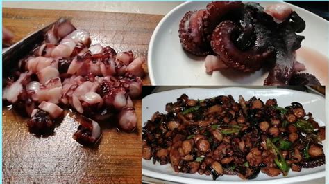 tagalog ng octopus|Pugita .
